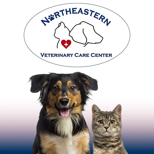 Northeastern Veterinary Care Center logo