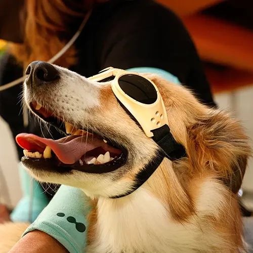 Laser Therapy