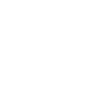 X icon